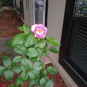 Meet your Posher, Teresa